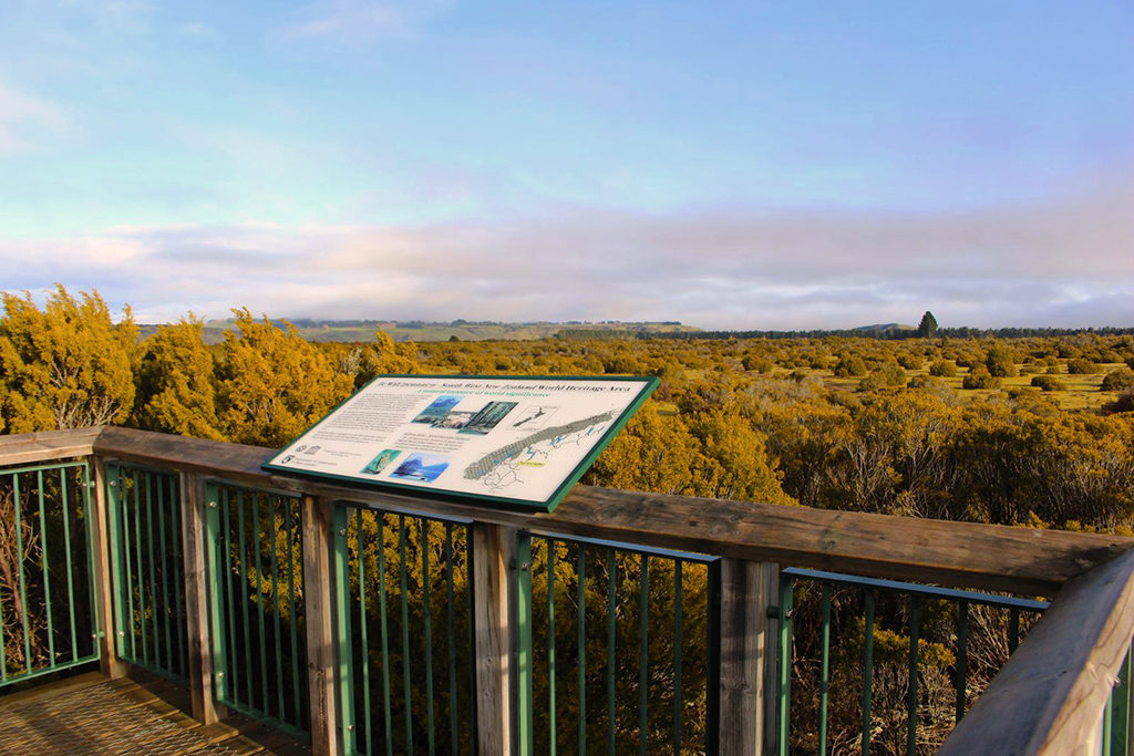 Queenstown 到 Te Anau 沿途景點 #5 - Wilderness Scientific Reserve (荒野保護區)
