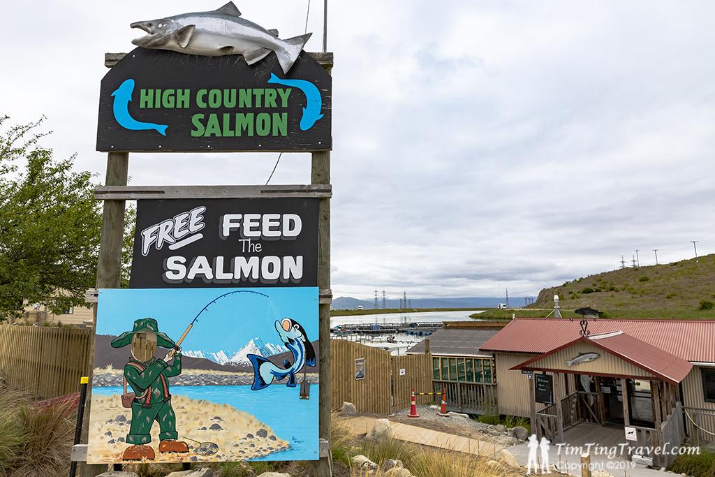 High Country Salmon 可免費餵食鮭魚，非常適合親子同遊