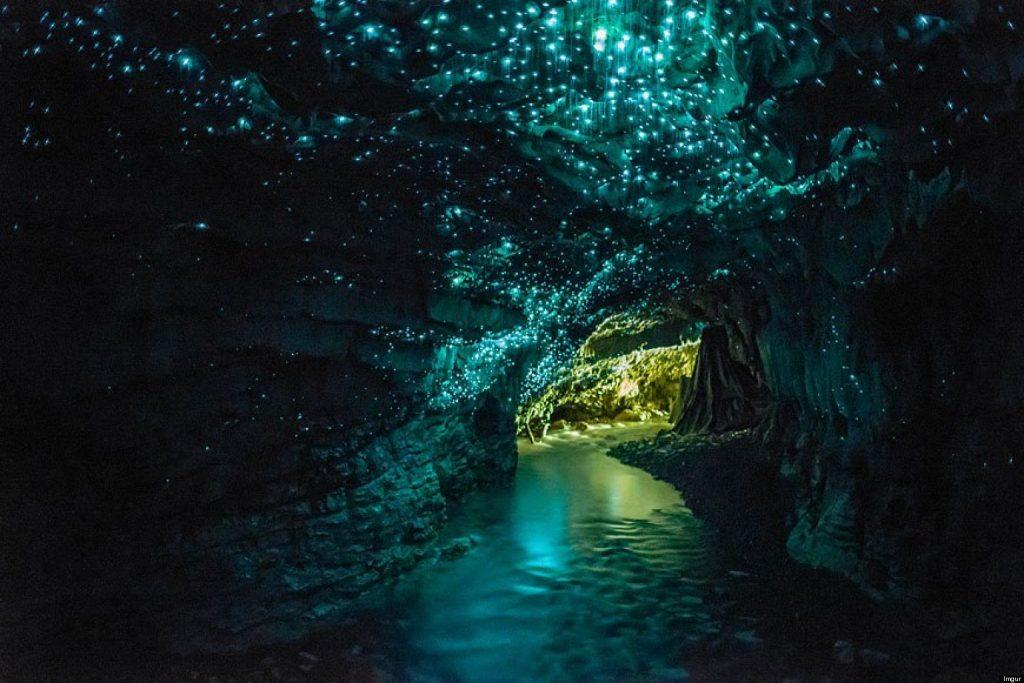 Hamilton 必遊景點 #2 - Waitomo Glowworm Caves (懷托摩螢火蟲洞)