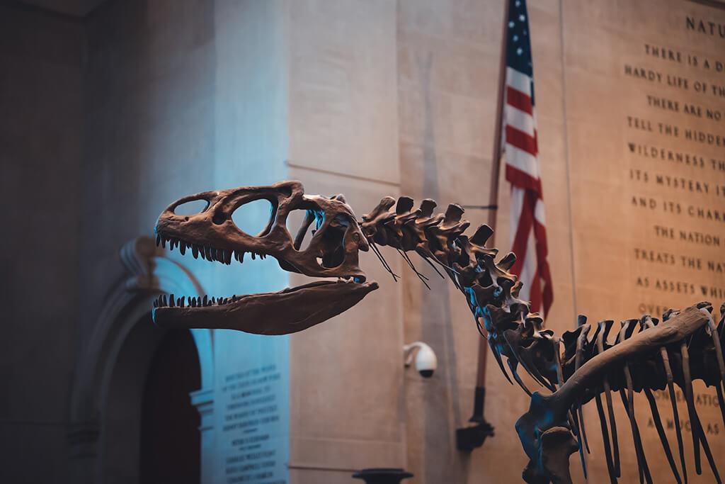 紐約自由行 - 必玩紐約景點 14. American Museum of Natural History (美國自然史博物館)