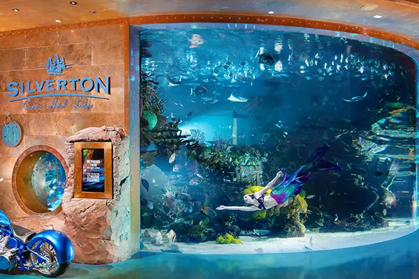 19-15_The Silverton Hotel Aquarium