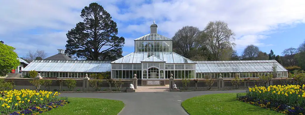 Dunedin 市中心推薦景點 5. Dunedin Botanic Garden (但尼丁植物園)
