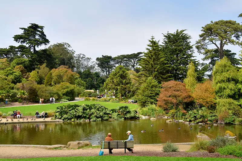24-07_Golden Gate Park 舊金山景點推薦 3. Golden Gate Park (金門公園)