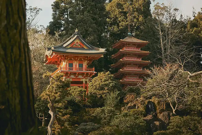 24-08_Japanese Tea Garden