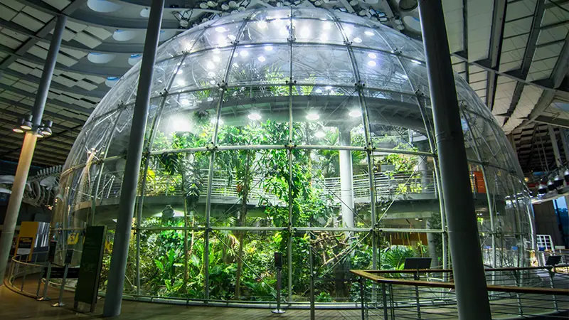 24-35_California Academy_rainforest
