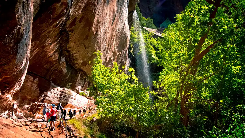 27-07_Lower_Emerald_Pools 錫安國家公園 熱門步道5. Emerald Pool Trail (翡翠池步道)