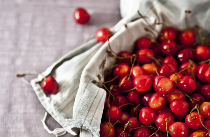16-11 PYO Cherries Cromwell 景點推薦 5. PYO Cherries (自助採櫻桃)