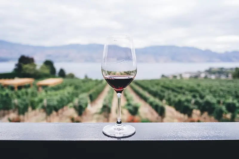 16-19_Wine Tasting Cromwell 景點推薦 7. Wine Tasting (品嘗葡萄酒)