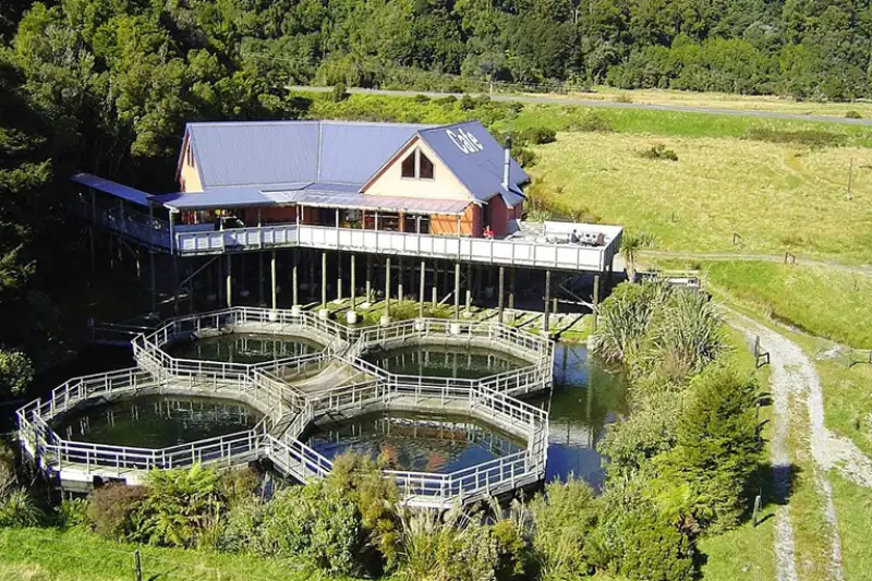 9-01 salmon-farm-cafe Fox Glacier 到 Wanaka 景點推薦 1. South Westland Salmon (Salmon Farm Cafe, 鮭魚農場餐廳)