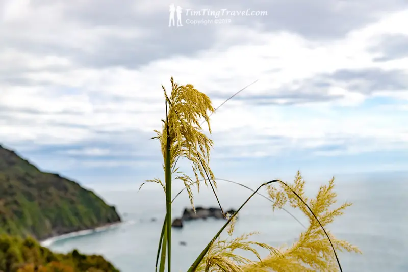 9-02 Knight Point Lookout Fox Glacier 到 Wanaka 景點推薦 2. Knights Point Lookout (騎士角觀景台)