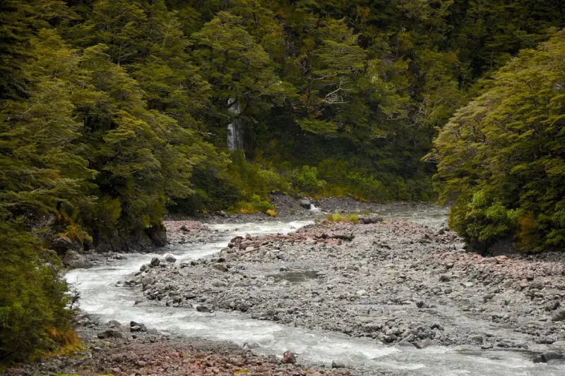 04-09_Arthur's Pass Walking Track