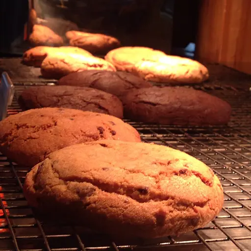 10-17_ Biscuit