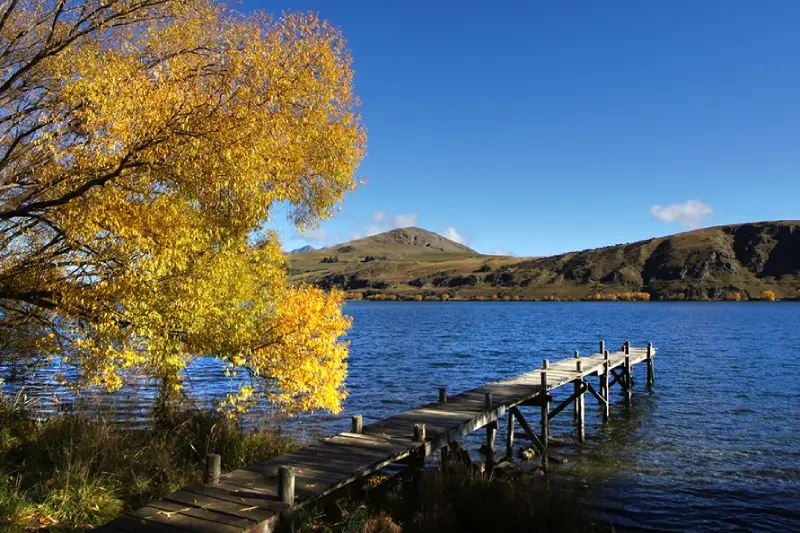 12-15 Lake Hayes 箭鎮 Arrowtown 景點推薦 5. Lake Hayes Walkway (黑斯湖步道)
