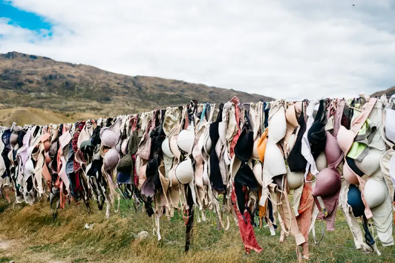 14-15_Cardrona Bra Fence