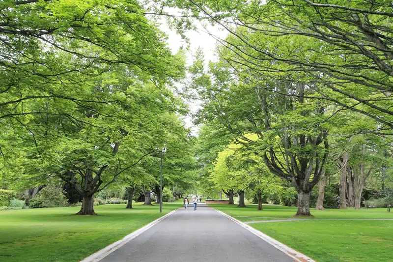 44-01_Queens Park Invercargill 景點推薦 1. Queens Park (皇后公園)