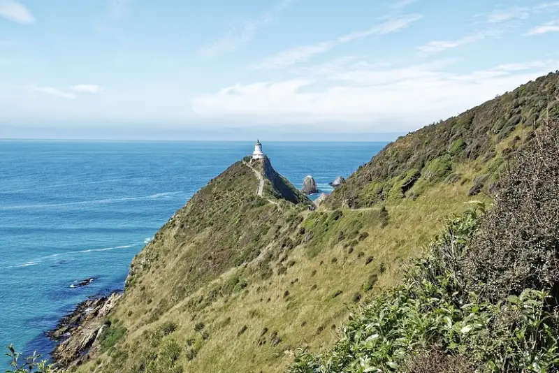 44-16_Nugget Point Lighthouse03 Invercargill 景點推薦 7. Nugget Point Lighthouse (金塊角燈塔)
