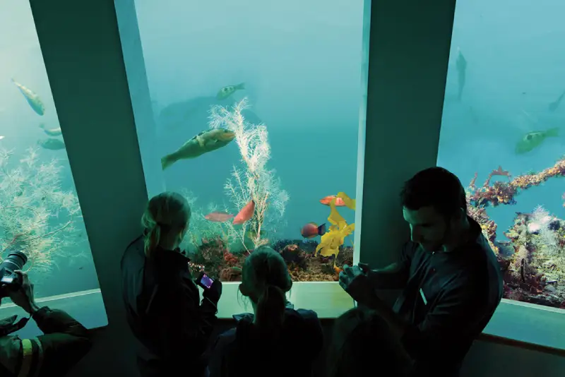 21-02_ Underwater-Observatory