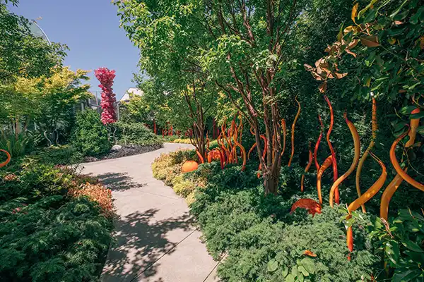 33-11_Chihuly Gallery_3