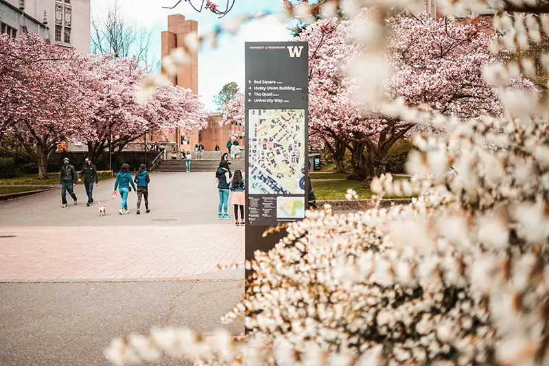 33-25_University of Washington Seattle 西雅圖景點推薦 12. University of Washington (華盛頓大學)