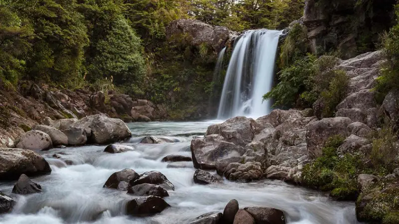 39-26_Tawhai Falls Tongariro 末日火山 (東格里羅國家公園) 景點推薦:5. Tawhai Falls (鬥海瀑布)