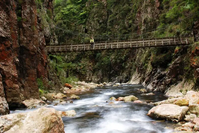 46-04_karangahake gorge Coromandel 半島景點推薦 3. Karangahake Gorge (卡蘭加哈克峽谷)