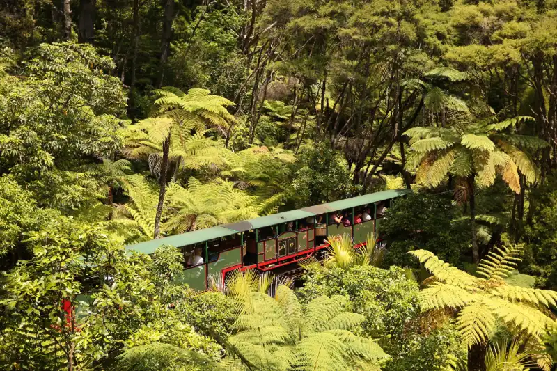 46-10_Driving Creek Railway Coromandel 半島景點推薦 4. Driving Creek Railway (溪谷鐵路)