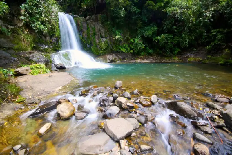 46-11_Waiau Falls Coromandel 半島景點推薦 5. Waiau Falls & Waiau Kauri Grove (懷奧河瀑布 & 貝殼杉樹林)