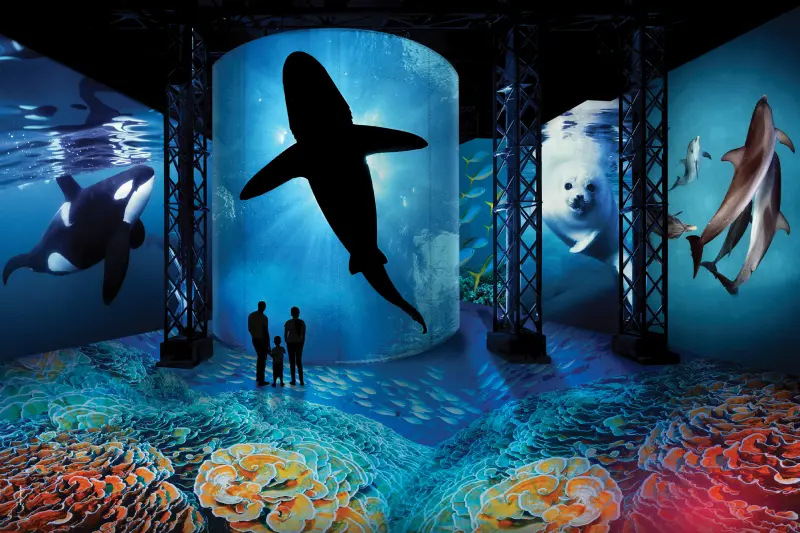 01-21_Atelier des Lumières
